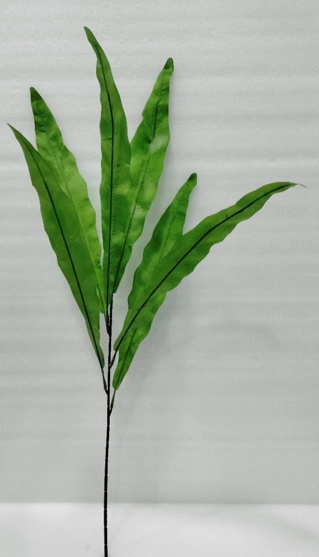 Big Palm Leaves Bunch